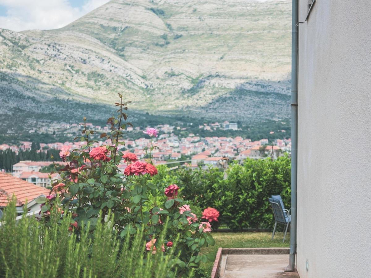 Apartment Maric Τρέμπινιε Εξωτερικό φωτογραφία